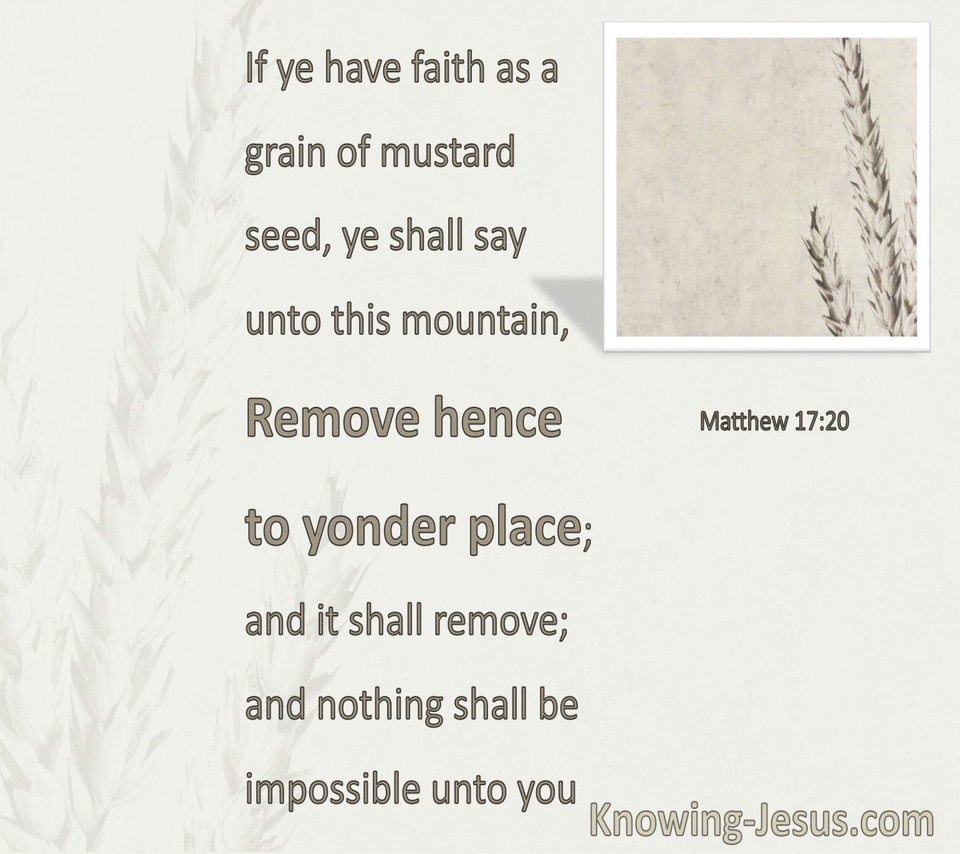 Matthew 17:20 Faith As A Grain Of Mustard Seed (white)